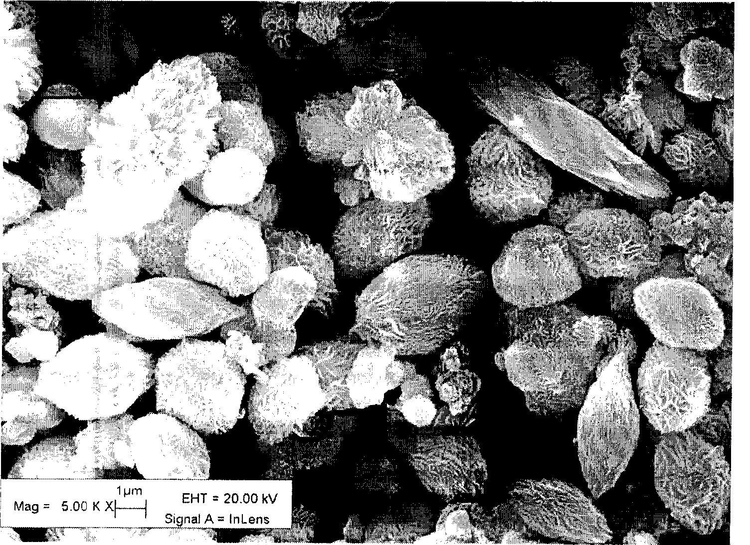 Process for producing flower shaped indium hydroxide powder having high specific surface area