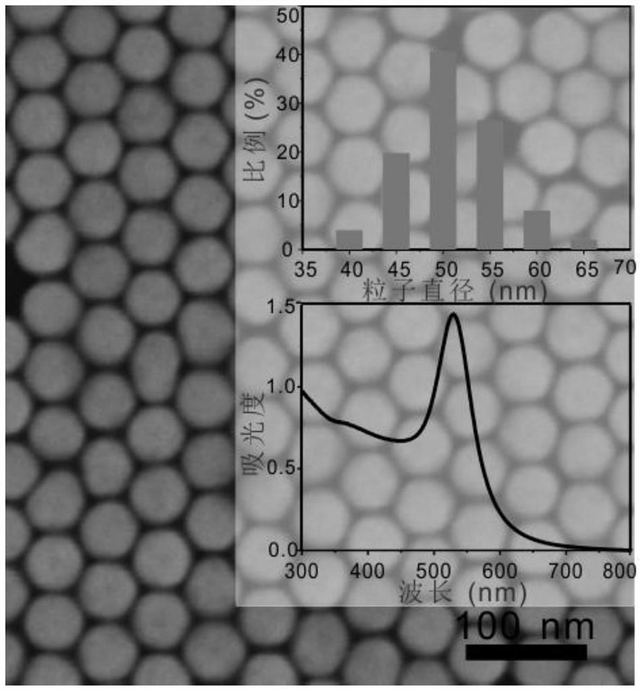 A kind of preparation method of functionalized SERS platform and its detection application to ATP