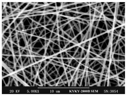 Chitosan-modified nanofiber slow-release antibacterial film and preparation method thereof