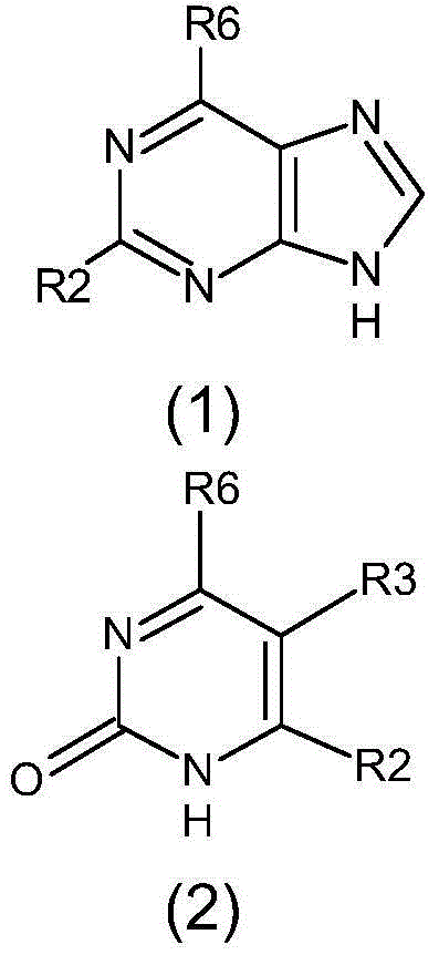 AMPK activating compound and its use