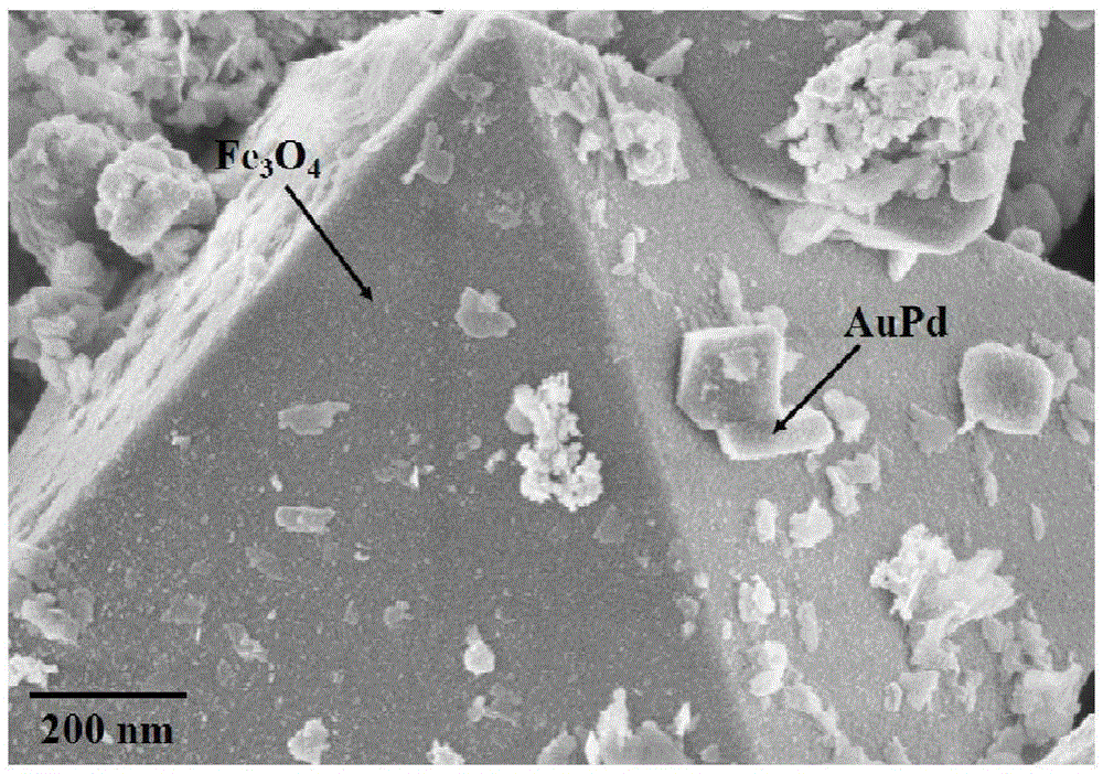 AuPd/Fe3O4 in-situ Electro-Fenton catalyst and preparation method and application thereof