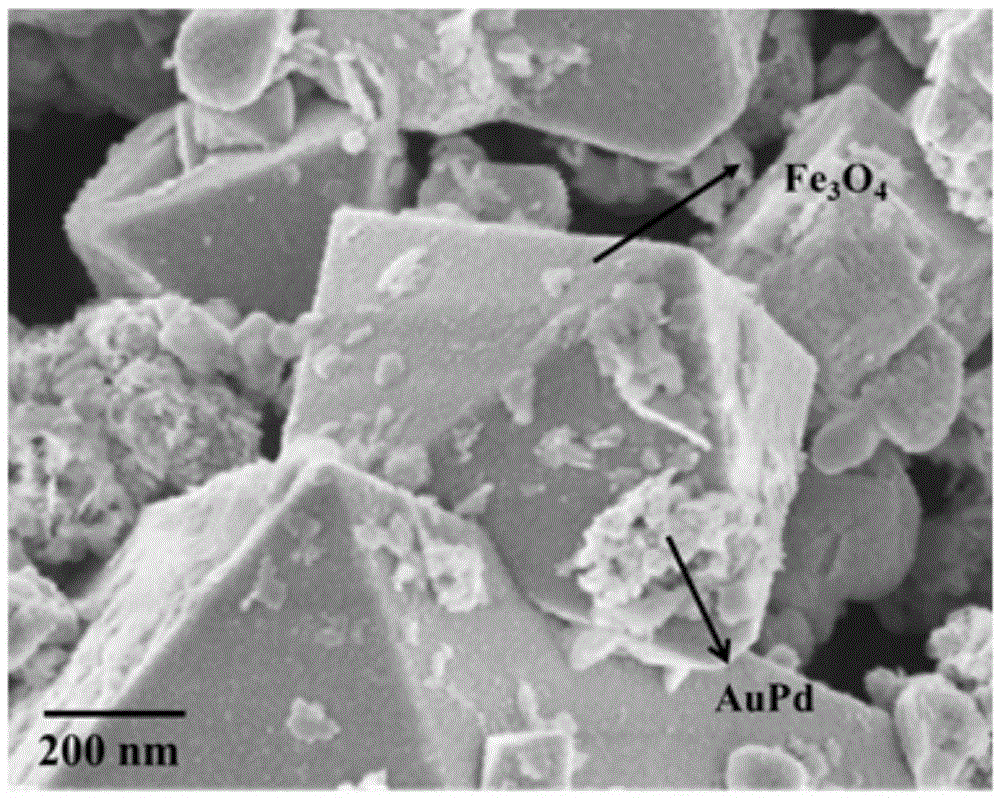 AuPd/Fe3O4 in-situ Electro-Fenton catalyst and preparation method and application thereof