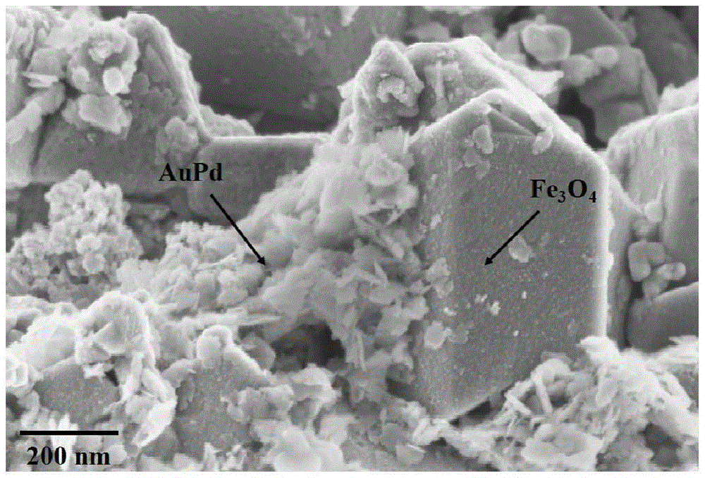 AuPd/Fe3O4 in-situ Electro-Fenton catalyst and preparation method and application thereof