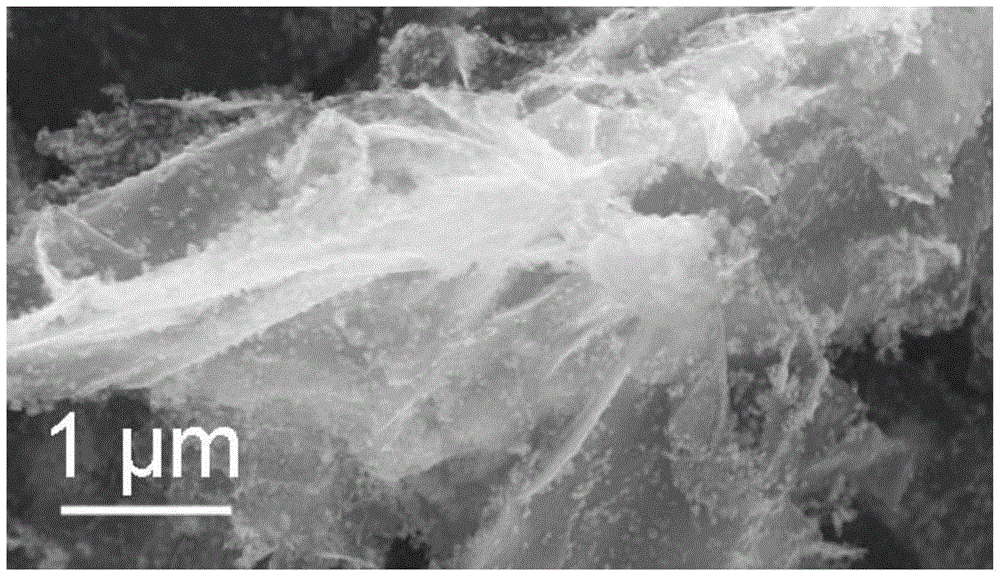 A nanocrystalline coo-graphene composite material and its preparation and application