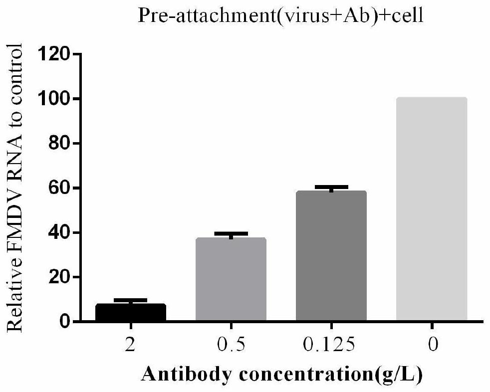 O-type foot-and-mouth disease virus structural protein VP1 broad-spectrum neutralizing antibody as well as preparation method and application thereof