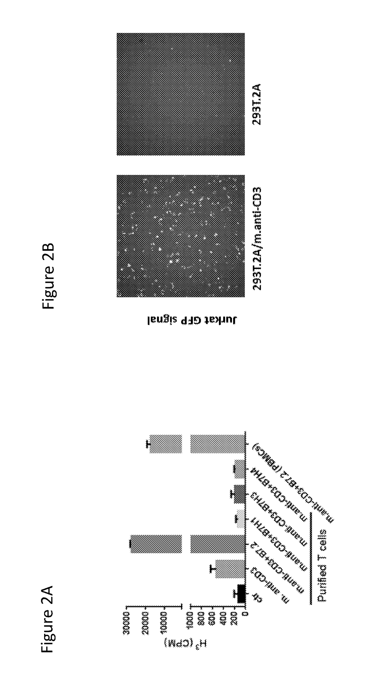 Genome-scale t cell activity array and methods of use thereof
