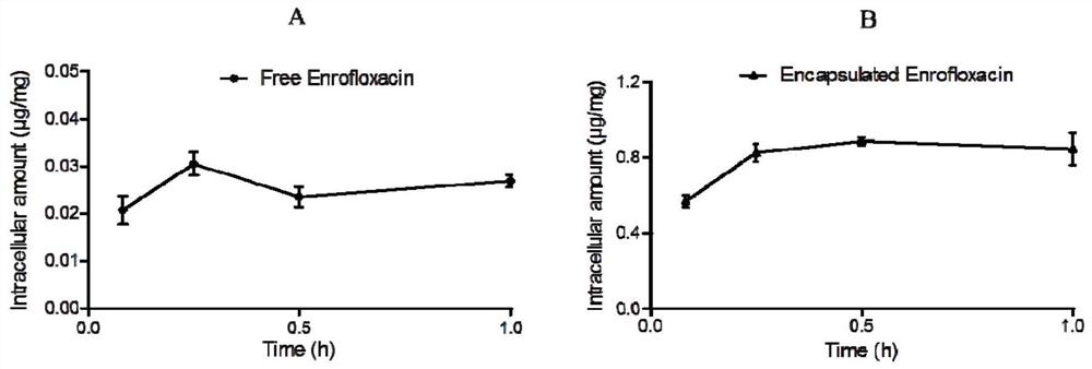 Veterinary enrofloxacin solid lipid nanosuspension and preparation method thereof