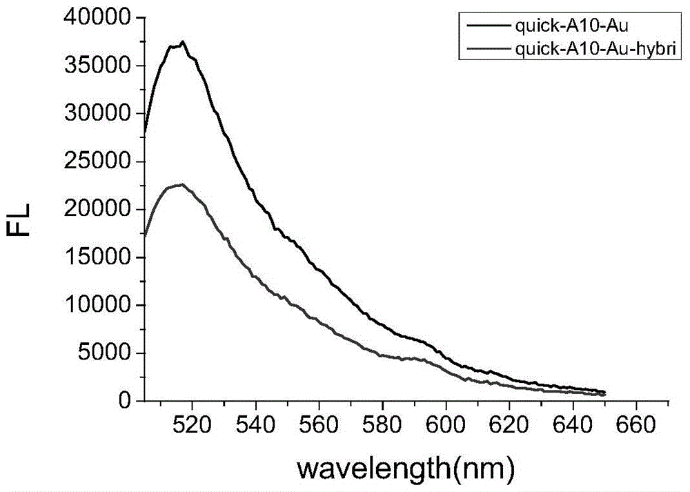 A nano-gold based molecular beacon and its preparation and application