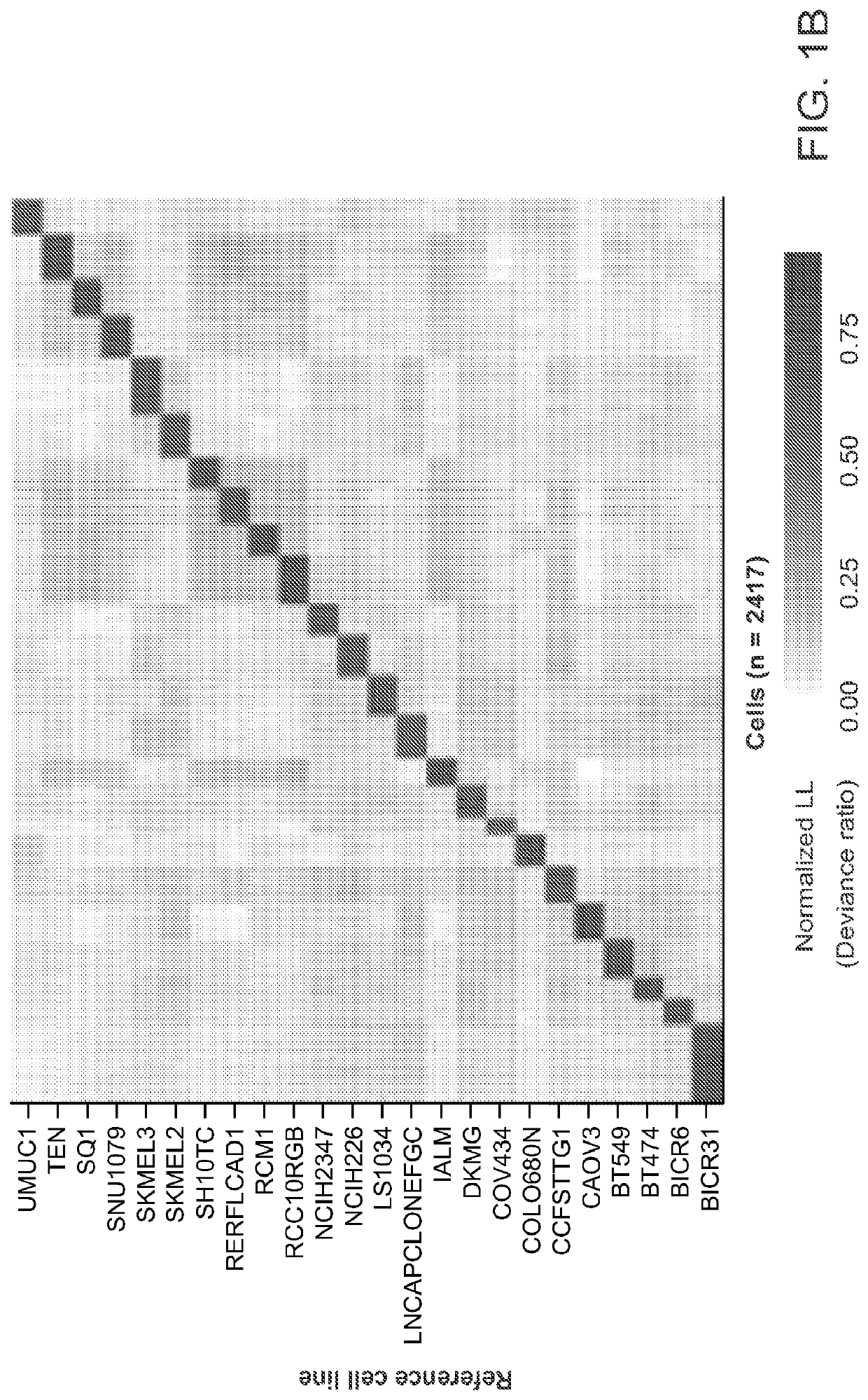 Rapid prediction of drug responsiveness