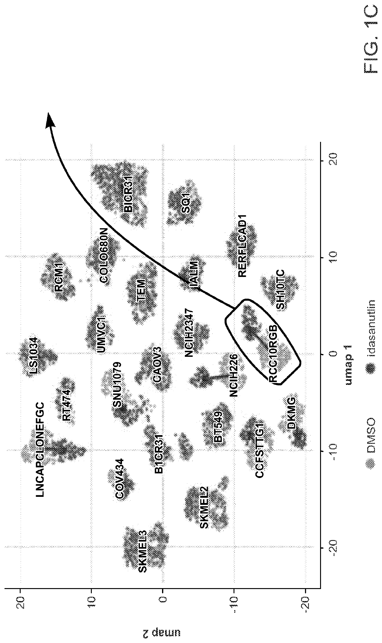 Rapid prediction of drug responsiveness