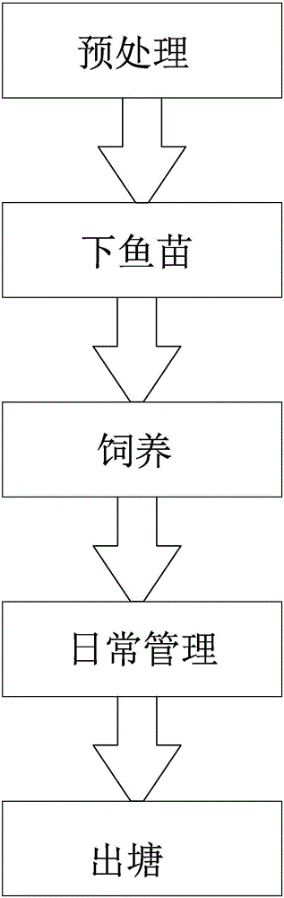 Carp aquiculture method