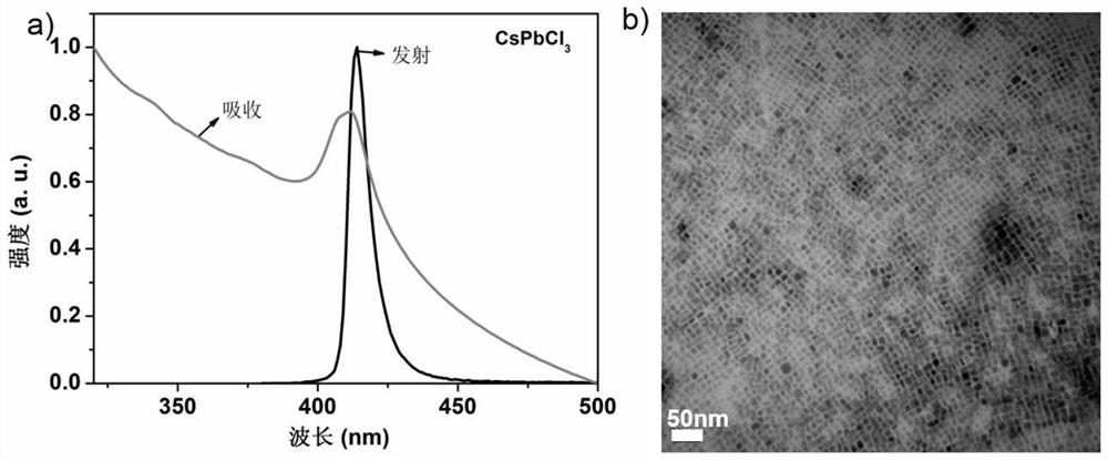 Perovskite CsPbX3 nanocrystal as well as preparation method and application thereof