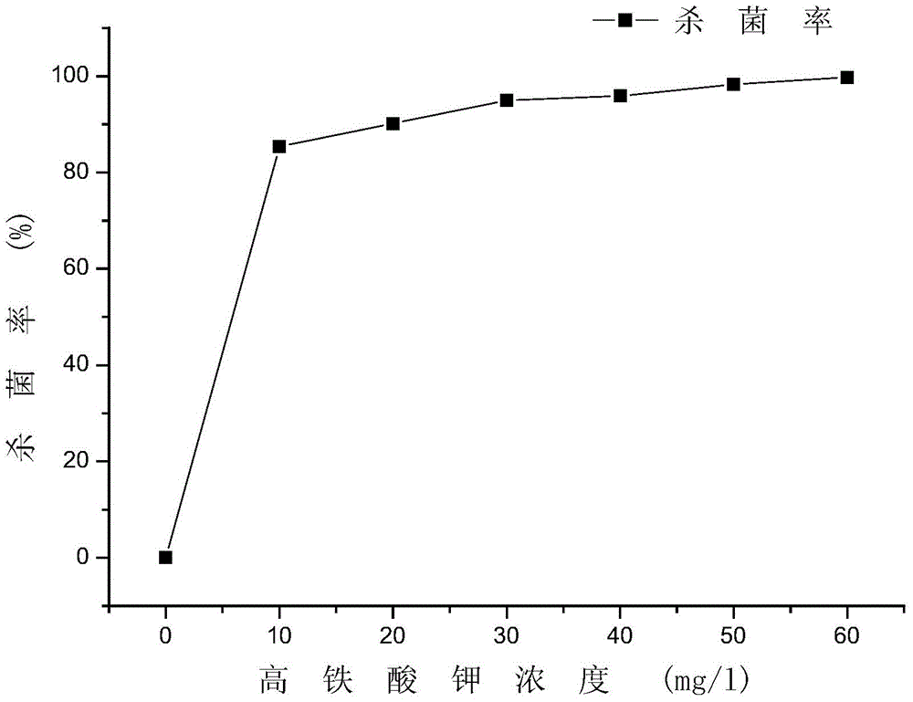 Preparation method of liquid potassium ferrate by utilizing ultrasonic electrolysis