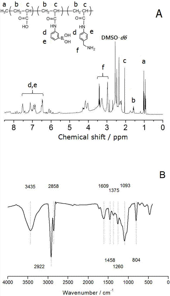 Acrylamide phenylboronic polymer as well as preparation and application thereof