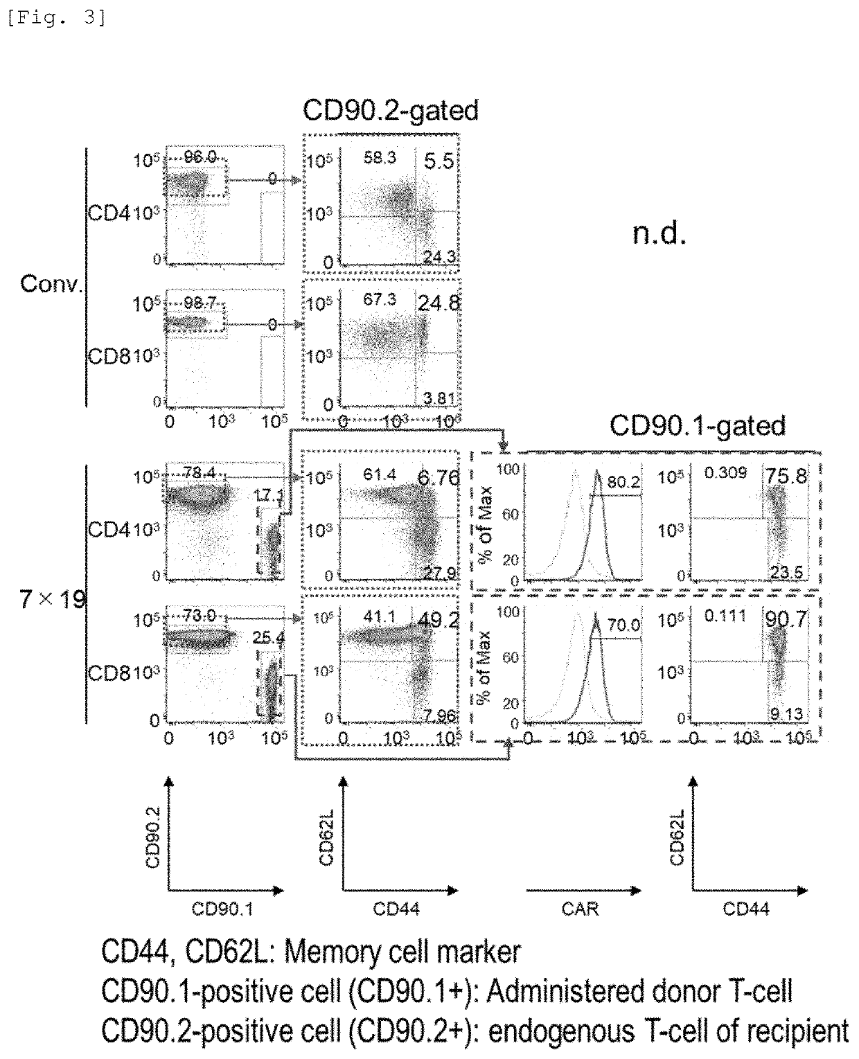Enhancer for t-cells or b-cells having memory function, malignant tumor recurrence inhibitor, and inducer for inducing memory function in t-cells or b-cells
