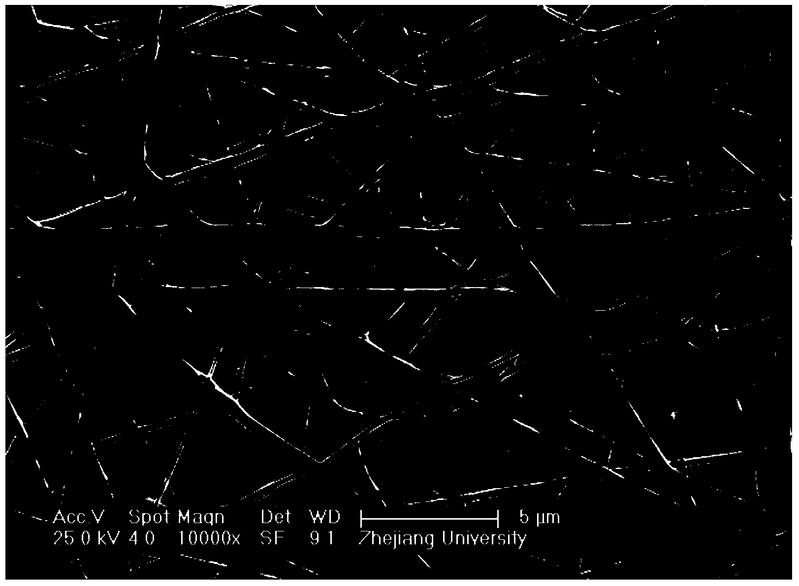 Composite nanometer filter material with catalytic function as well as preparation method and application of composite nanometer filter material