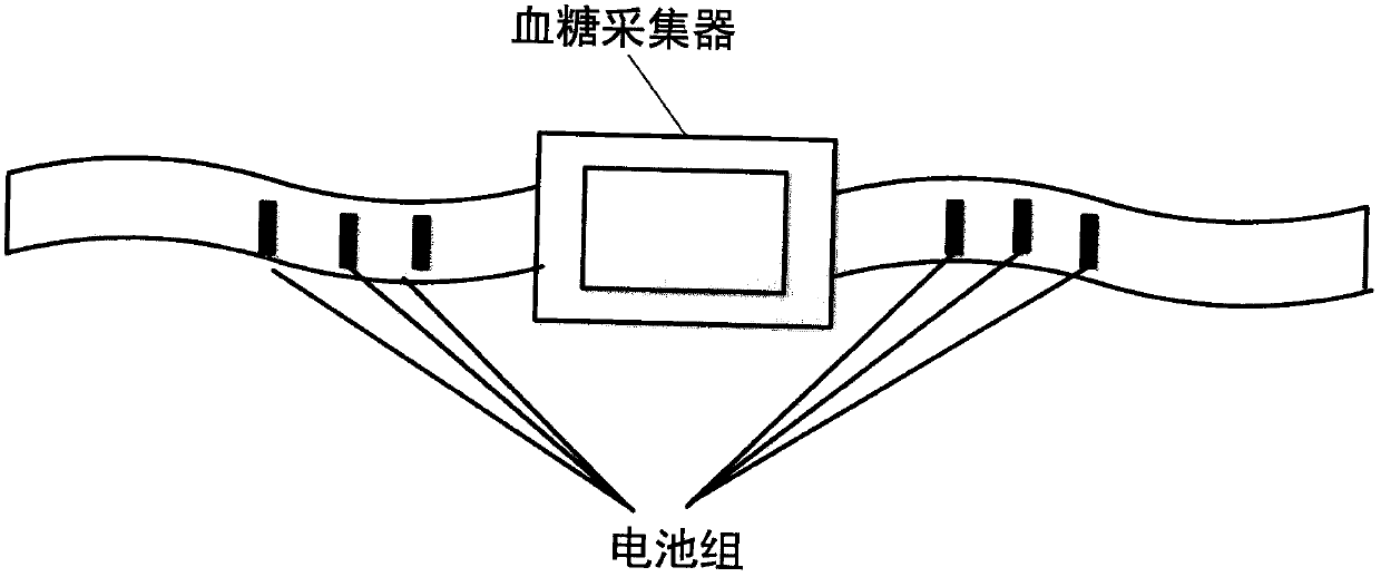 Animal blood sugar monitoring system and blood sugar state recognition method based on machine learning