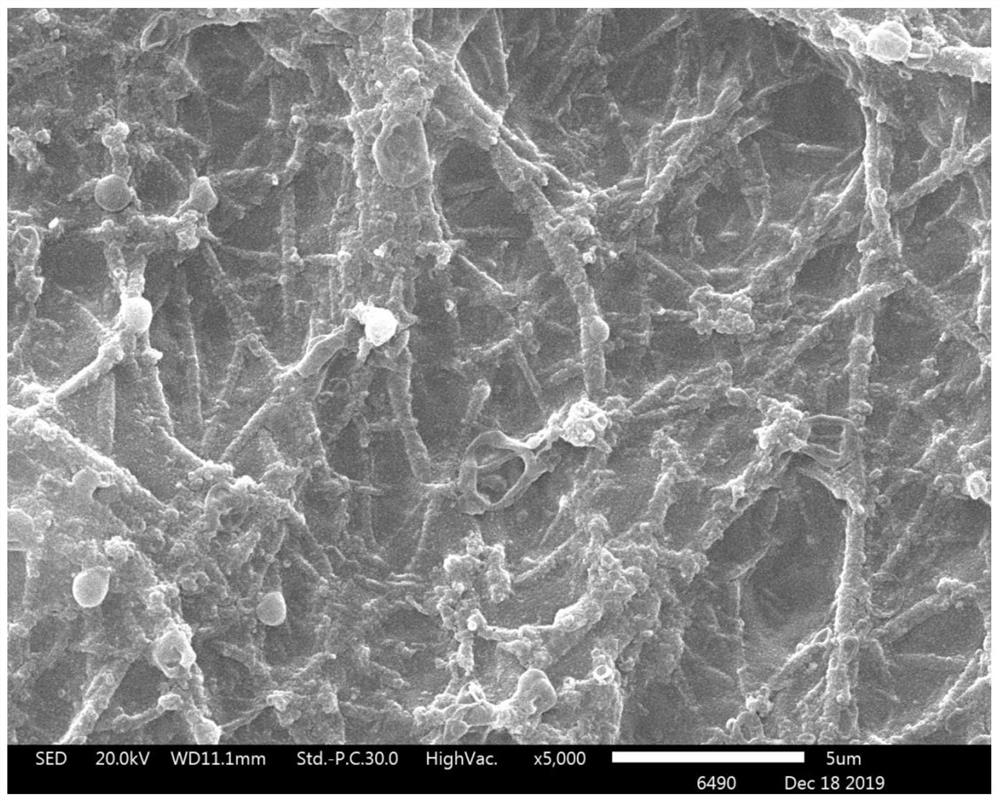 Polydopamine modified nanofiber coating-based nanofiltration membrane and preparation method thereof