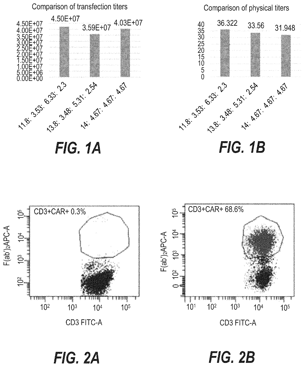 Plasmid combination and application thereof in preparing modified immune cells