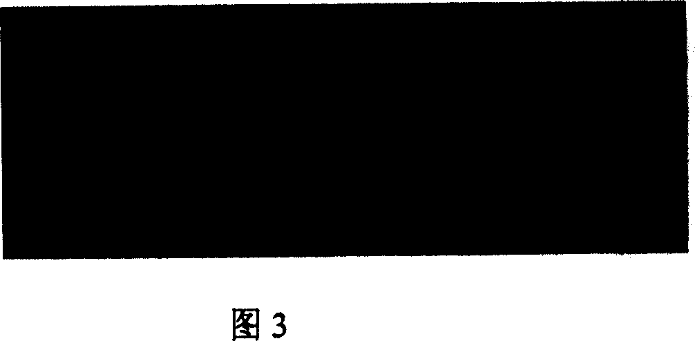 Process for extracting DNA from biological samples