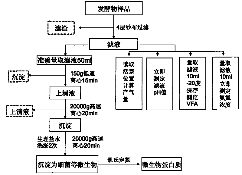 In vitro application and detection method of peptide for regulating and controlling milk cattle rumen fermentation