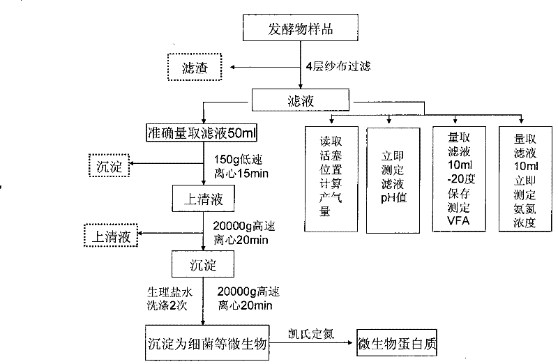 In vitro application and detection method of peptide for regulating and controlling milk cattle rumen fermentation