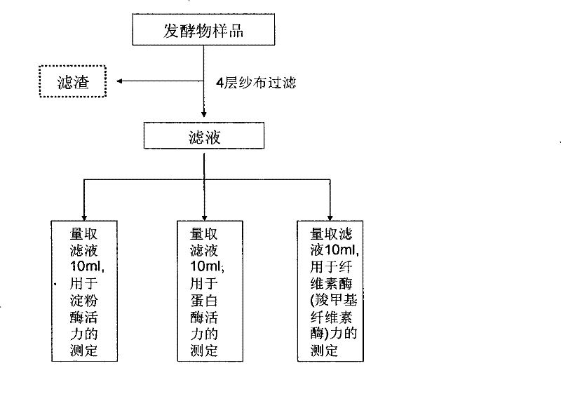 In vitro application and detection method of peptide for regulating and controlling milk cattle rumen fermentation