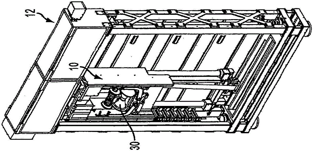 Carcass stabilizer