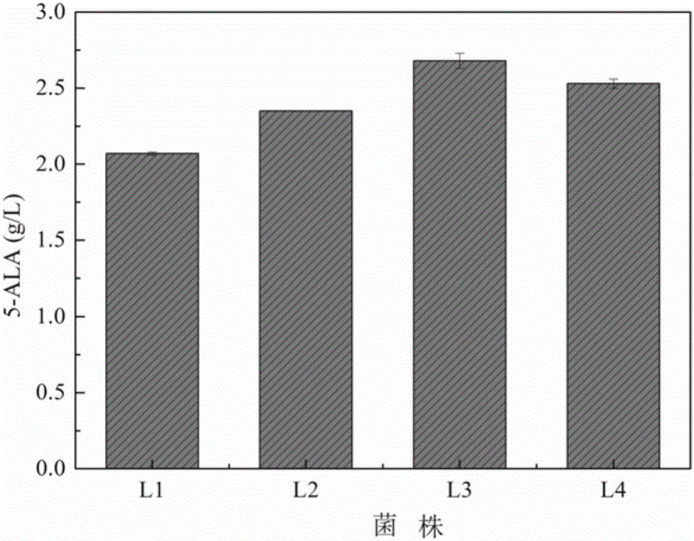 Crynebacterium glutamicum engineering strain for producing 5-aminolevulinic acid and construction method thereof+