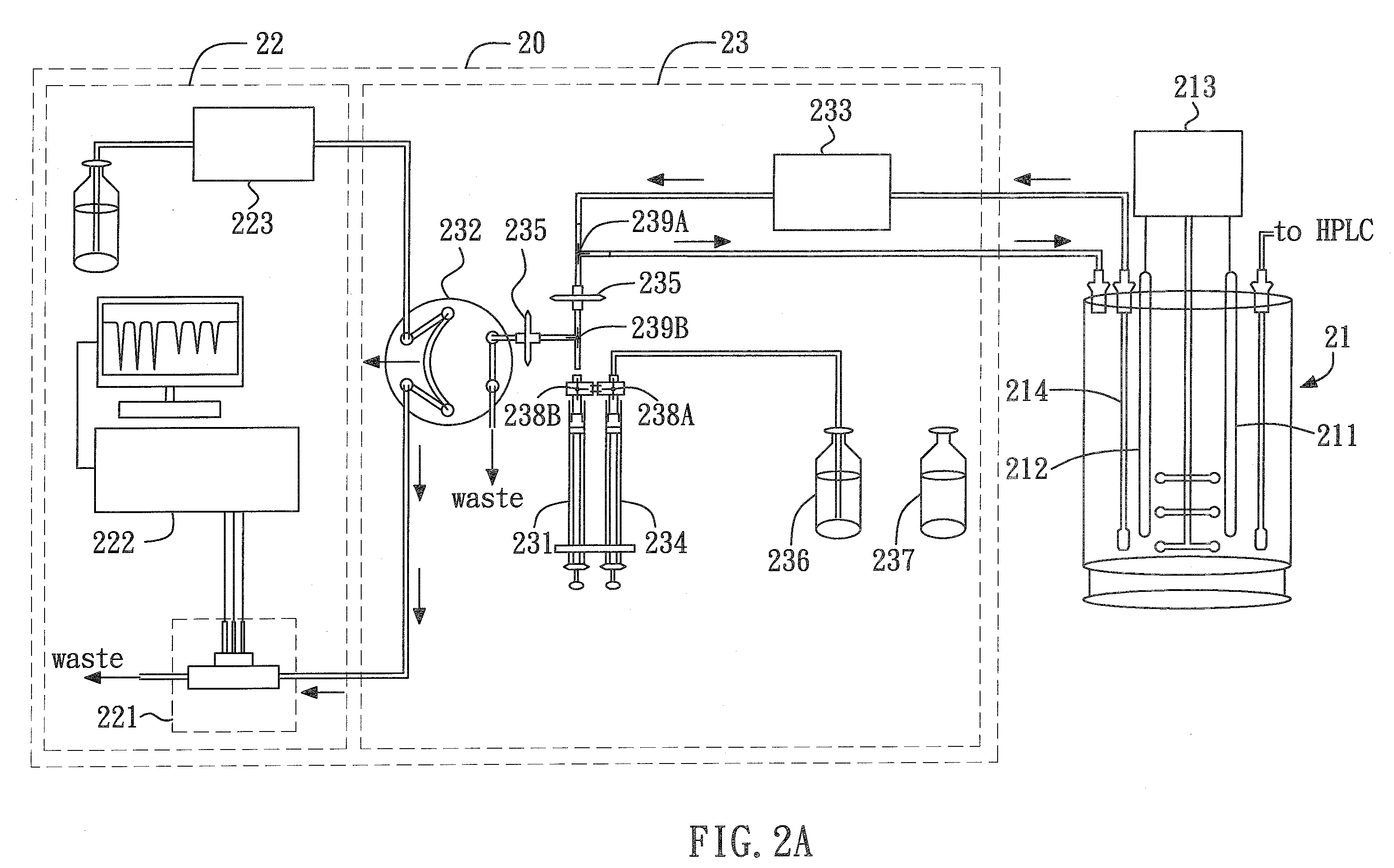 Enzyme electrode and method for producing the same