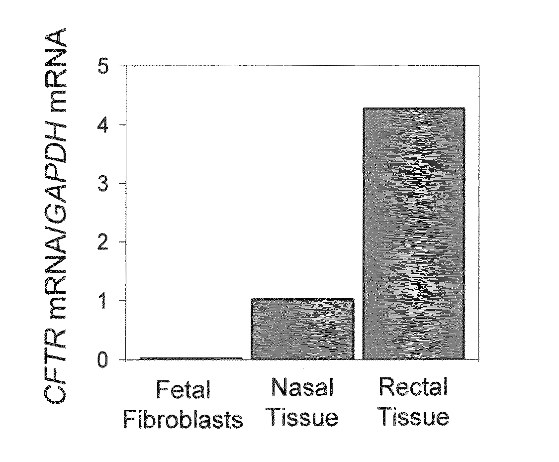 Method of identifying compounds using a transgenic pig model of cystic fibrosis