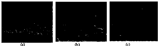 6-kinetin molecularly imprinted polymer and application thereof