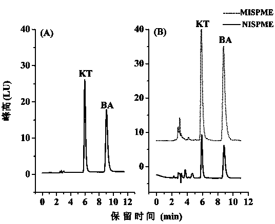 6-kinetin molecularly imprinted polymer and application thereof
