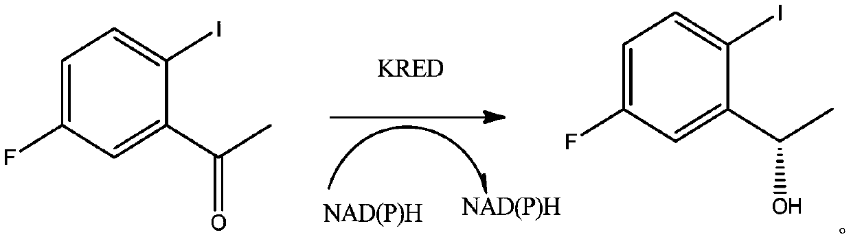 Ketoreductase, nucleic acid, recombinant expression plasmid and strain, and application of ketoreductase in synthesis of Lorlatinib intermediate