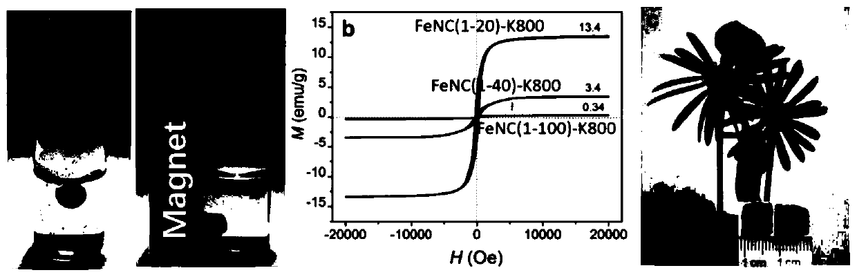 Preparation method of iron-nitrogen co-doped magnetic porous graphitized nano carbon aerogel