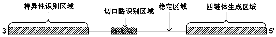 Method for detecting DNA of wheat stunt virus