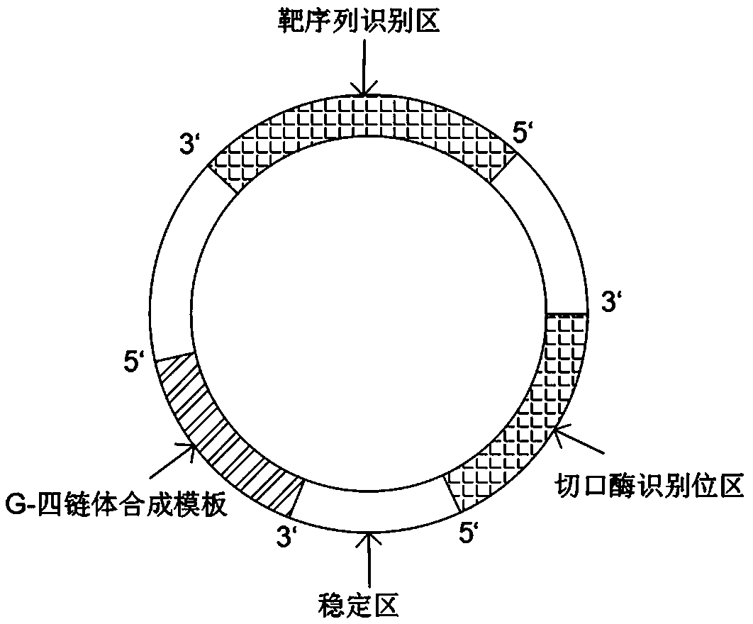 Method for detecting DNA of wheat stunt virus