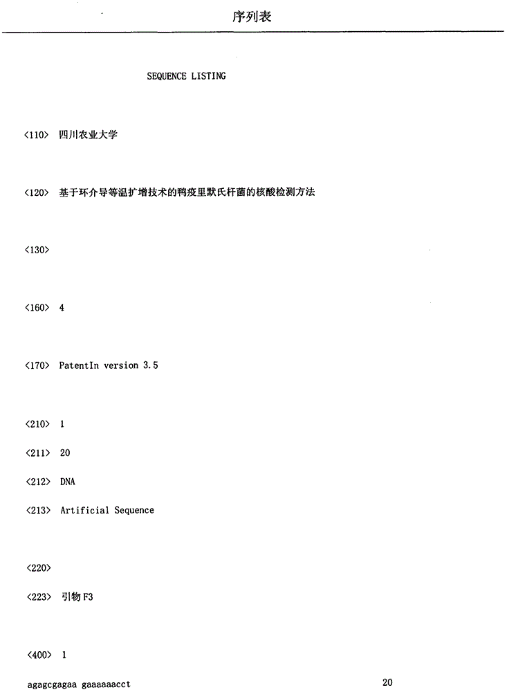 Loop-mediated isothermal amplification-based nucleic acid test method for Riemerella anatipestifer