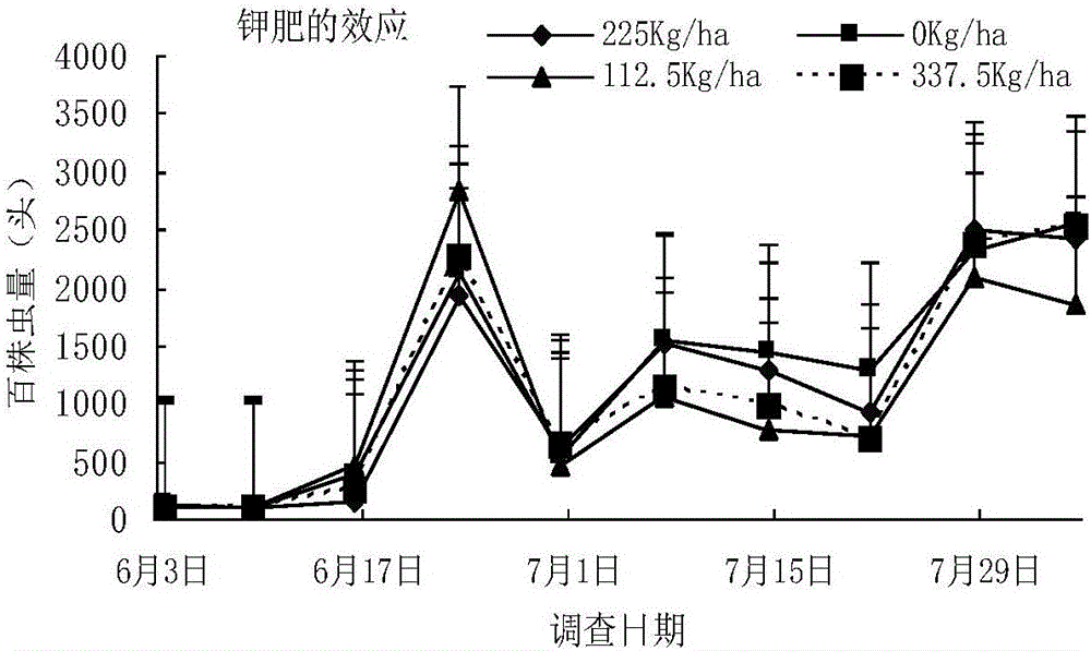 Cultivation method for improving potato beetle resistance of purple-flower white potatoes