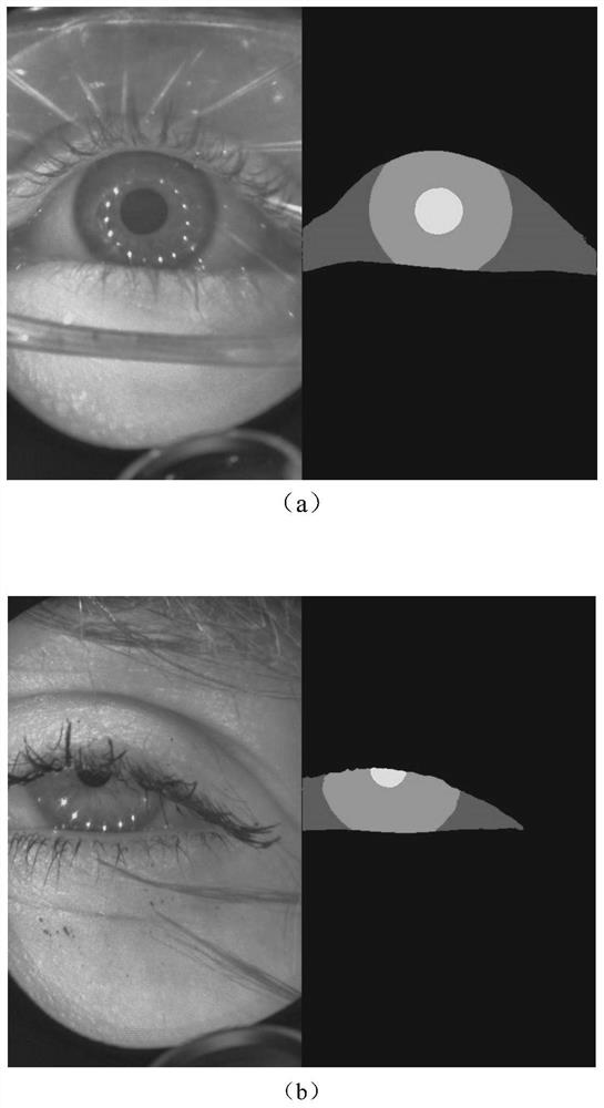 Eye image segmentation method based on sclera region supervision