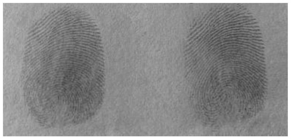 Fingerprint developing powder as well as preparation method and application thereof