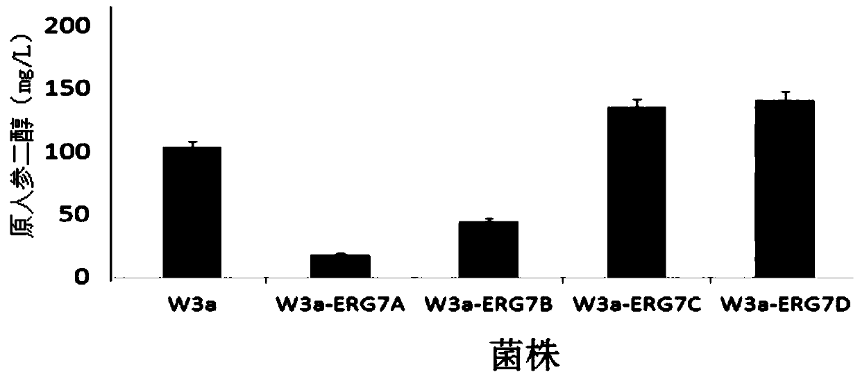 Recombinant bacteria for fine regulation and control of saccharomyces cerevisiae ERG7 expression and construction method thereof