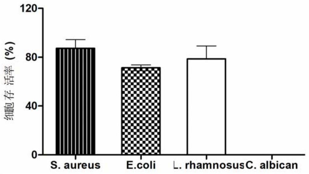 Non-specific receptor-binding fungal targeting antimicrobial peptide and its preparation method and application