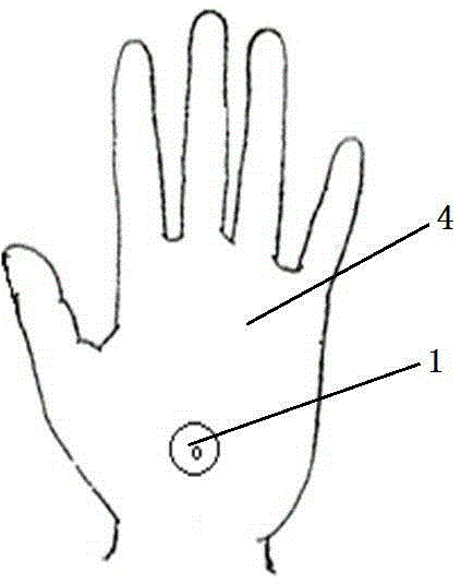 Cotton glove with live part verification function