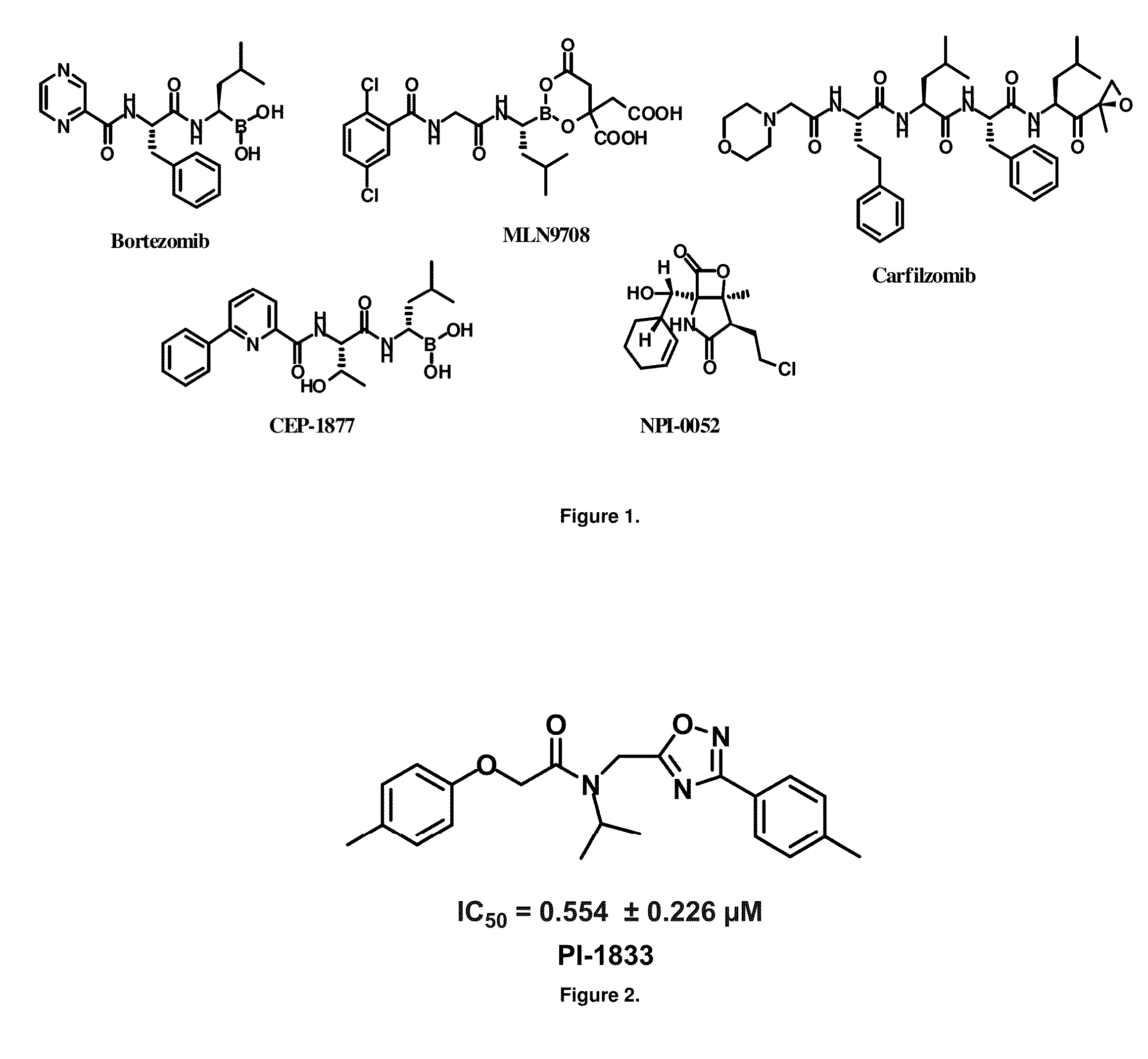 Proteasome chymotrypsin-like inhibition using pi-1833 analogs