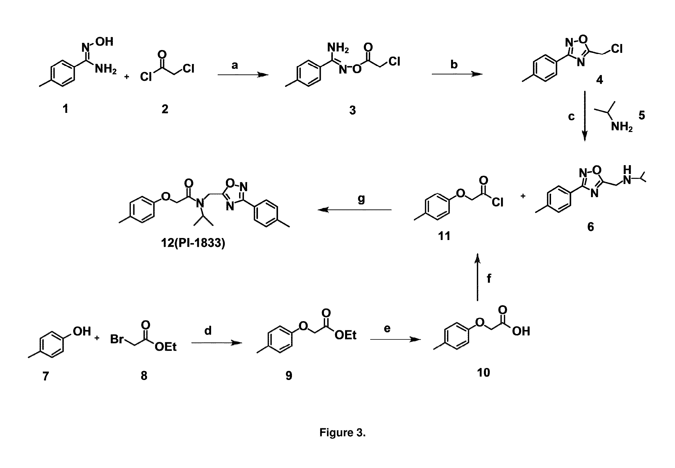 Proteasome chymotrypsin-like inhibition using pi-1833 analogs
