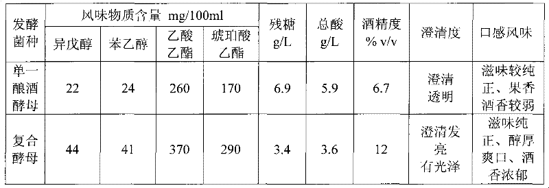 Multi-strain compound fermentation type jujube wine and brewing method thereof