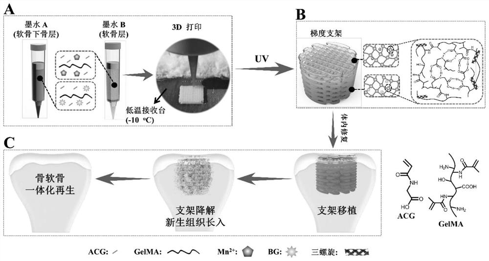 Degradable biological hybrid high-strength hydrogel stent as well as preparation method and application thereof