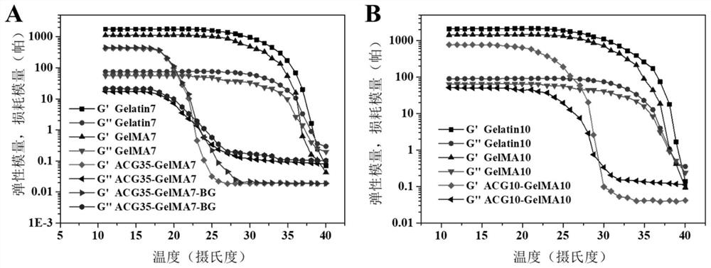 Degradable biological hybrid high-strength hydrogel stent as well as preparation method and application thereof