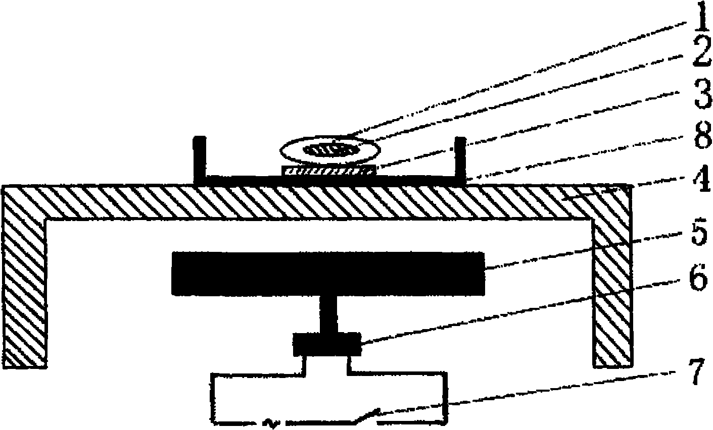 Device and method for removing metal plating layer on back of nano-alumina template